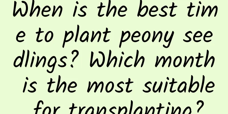 When is the best time to plant peony seedlings? Which month is the most suitable for transplanting?
