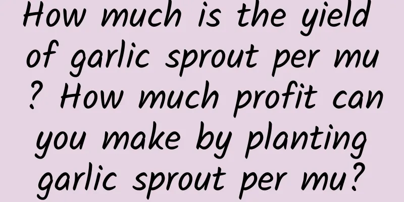 How much is the yield of garlic sprout per mu? How much profit can you make by planting garlic sprout per mu?