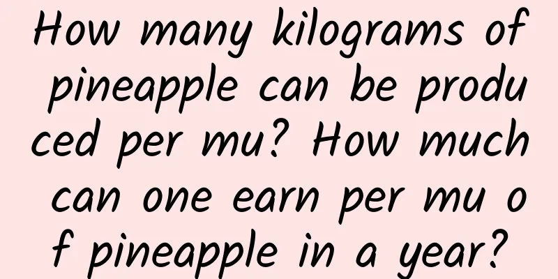 How many kilograms of pineapple can be produced per mu? How much can one earn per mu of pineapple in a year?