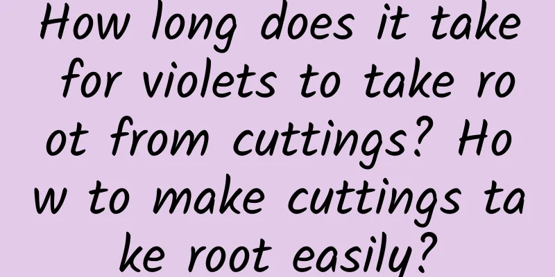 How long does it take for violets to take root from cuttings? How to make cuttings take root easily?