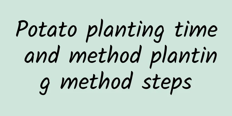 Potato planting time and method planting method steps