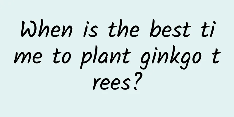 When is the best time to plant ginkgo trees?