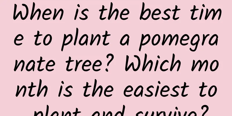 When is the best time to plant a pomegranate tree? Which month is the easiest to plant and survive?