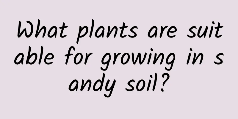 What plants are suitable for growing in sandy soil?
