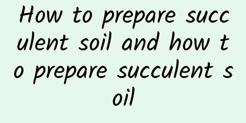 How to prepare succulent soil and how to prepare succulent soil