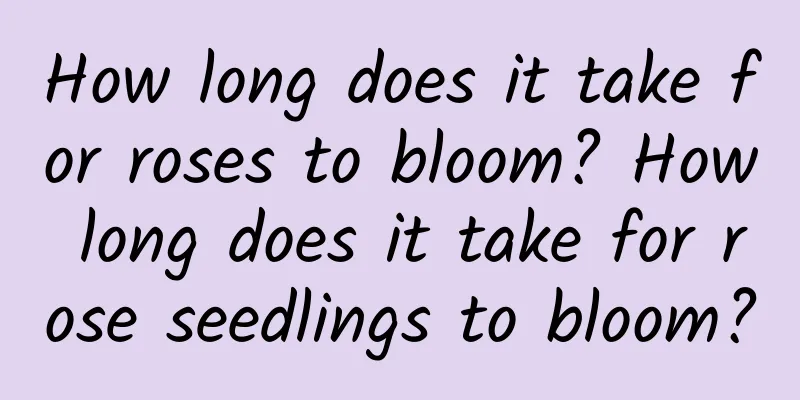 How long does it take for roses to bloom? How long does it take for rose seedlings to bloom?