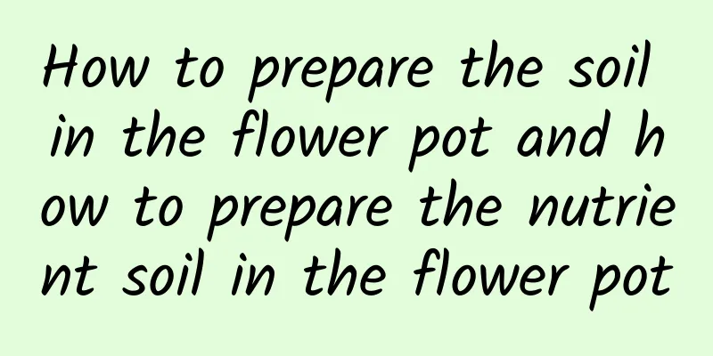 How to prepare the soil in the flower pot and how to prepare the nutrient soil in the flower pot