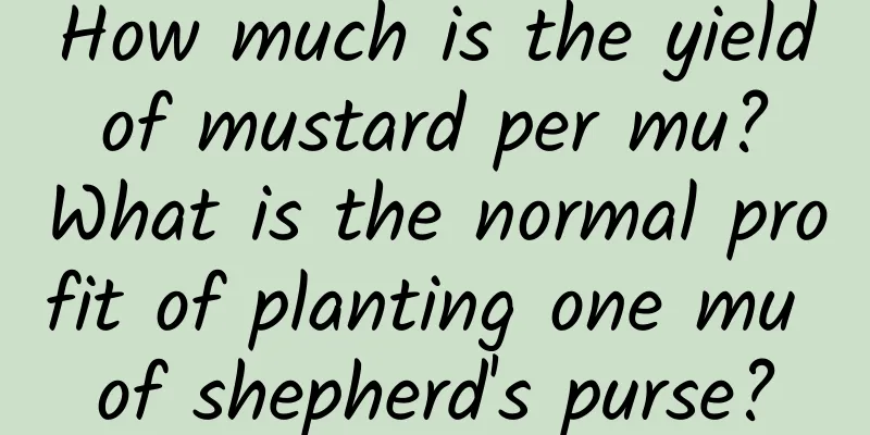 How much is the yield of mustard per mu? What is the normal profit of planting one mu of shepherd's purse?