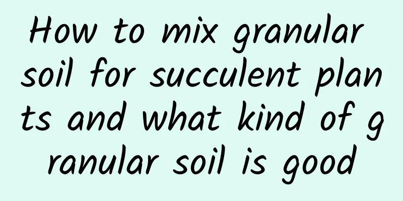 How to mix granular soil for succulent plants and what kind of granular soil is good