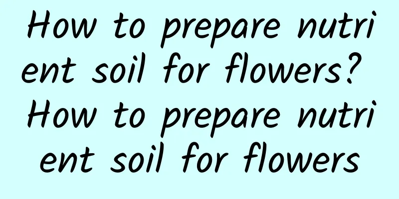 How to prepare nutrient soil for flowers? How to prepare nutrient soil for flowers