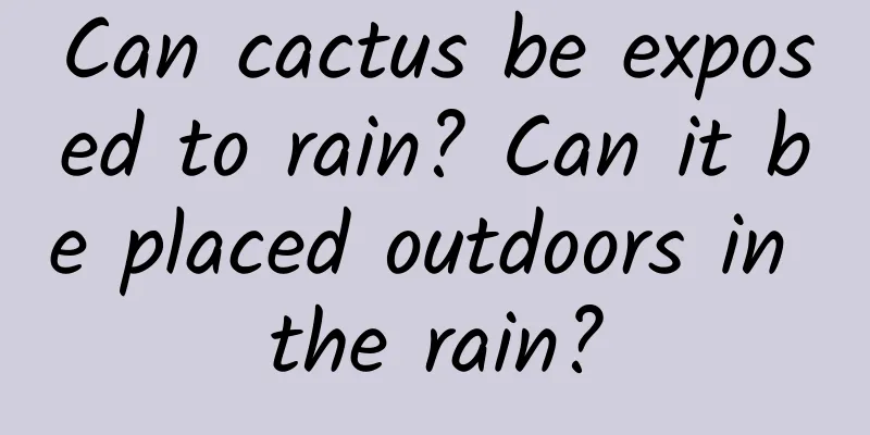 Can cactus be exposed to rain? Can it be placed outdoors in the rain?