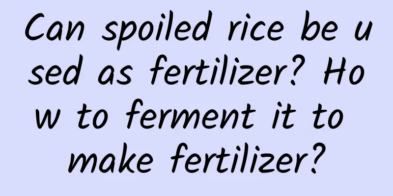 Can spoiled rice be used as fertilizer? How to ferment it to make fertilizer?