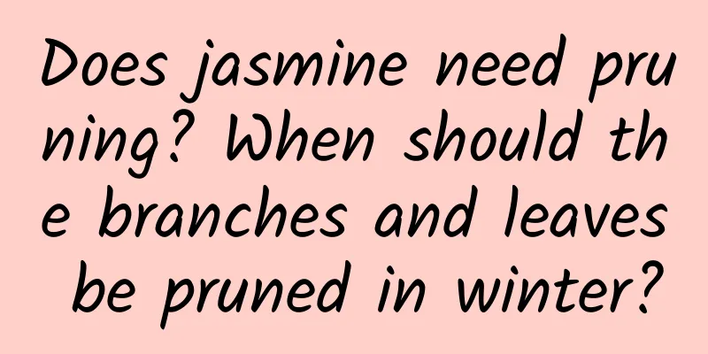 Does jasmine need pruning? When should the branches and leaves be pruned in winter?