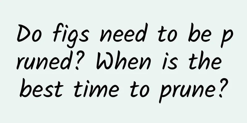 Do figs need to be pruned? When is the best time to prune?