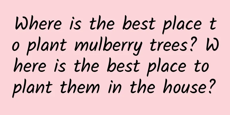 Where is the best place to plant mulberry trees? Where is the best place to plant them in the house?