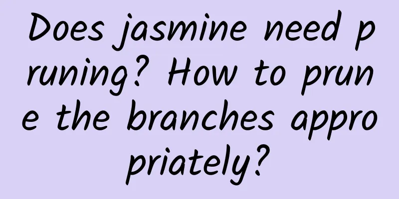 Does jasmine need pruning? How to prune the branches appropriately?