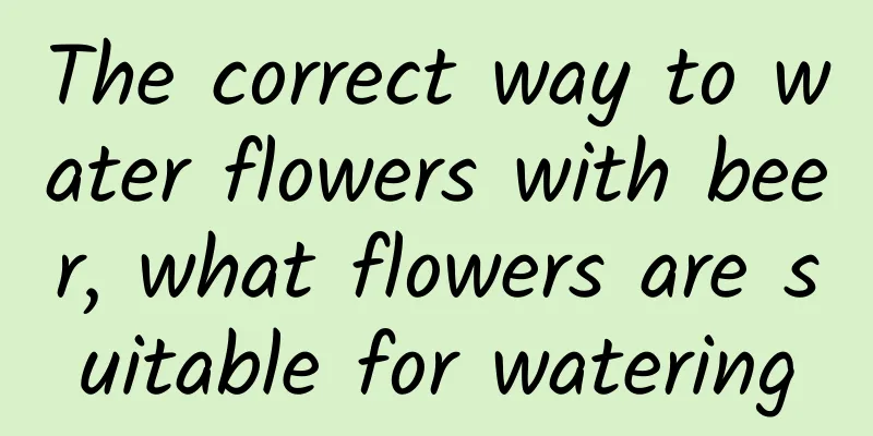The correct way to water flowers with beer, what flowers are suitable for watering