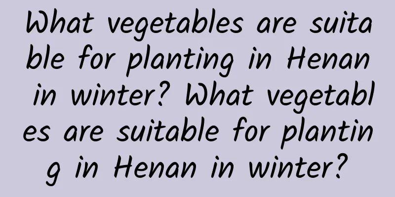 What vegetables are suitable for planting in Henan in winter? What vegetables are suitable for planting in Henan in winter?