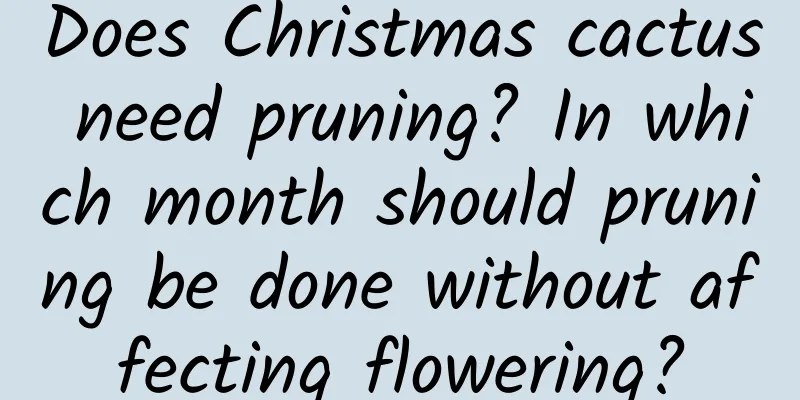 Does Christmas cactus need pruning? In which month should pruning be done without affecting flowering?
