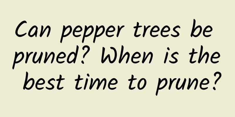 Can pepper trees be pruned? When is the best time to prune?