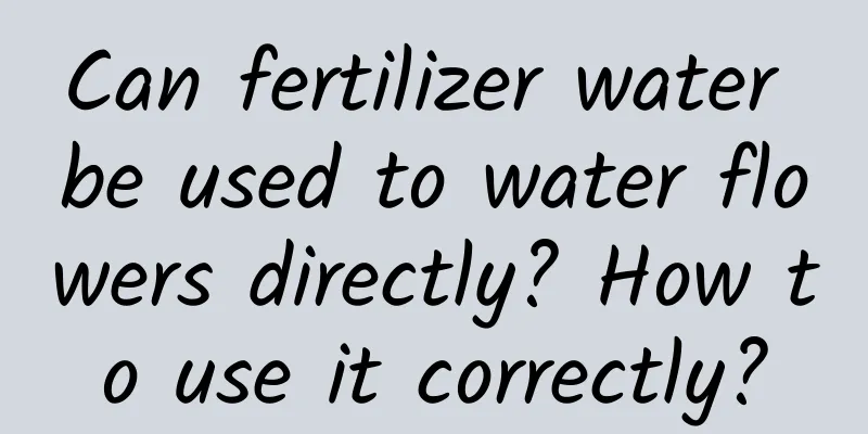 Can fertilizer water be used to water flowers directly? How to use it correctly?