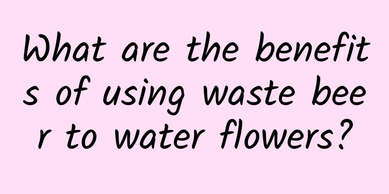 What are the benefits of using waste beer to water flowers?