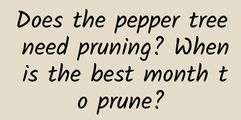 Does the pepper tree need pruning? When is the best month to prune?