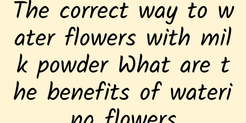 The correct way to water flowers with milk powder What are the benefits of watering flowers