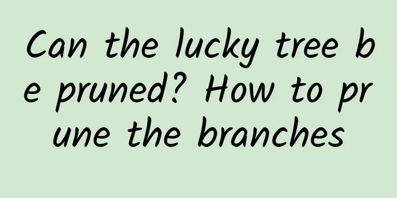 Can the lucky tree be pruned? How to prune the branches