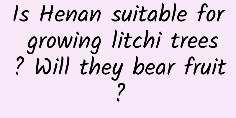 Is Henan suitable for growing litchi trees? Will they bear fruit?