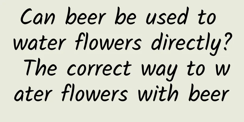Can beer be used to water flowers directly? The correct way to water flowers with beer