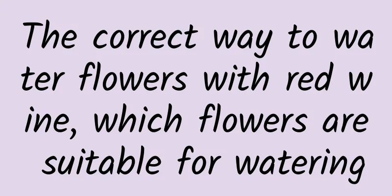 The correct way to water flowers with red wine, which flowers are suitable for watering