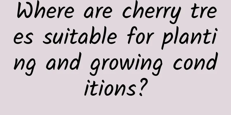 Where are cherry trees suitable for planting and growing conditions?