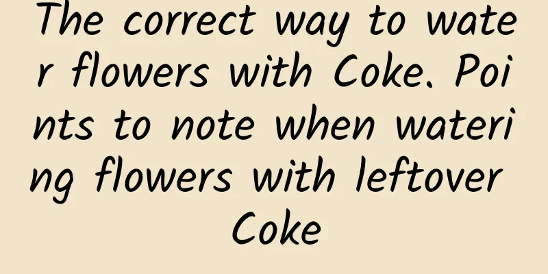 The correct way to water flowers with Coke. Points to note when watering flowers with leftover Coke