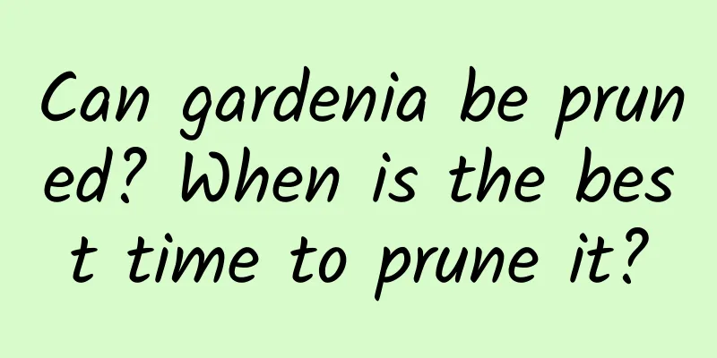 Can gardenia be pruned? When is the best time to prune it?