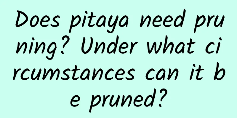 Does pitaya need pruning? Under what circumstances can it be pruned?