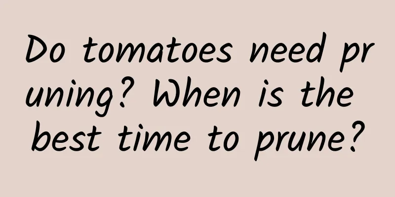Do tomatoes need pruning? When is the best time to prune?
