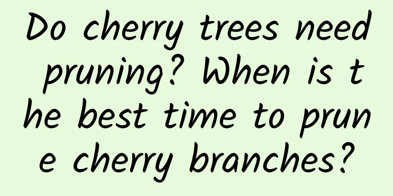 Do cherry trees need pruning? When is the best time to prune cherry branches?