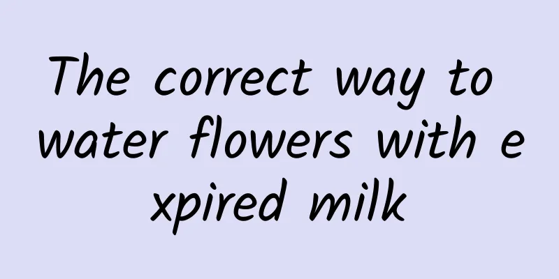 The correct way to water flowers with expired milk