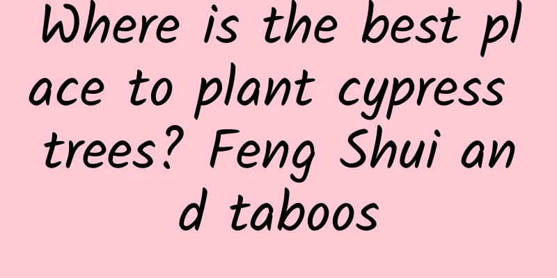Where is the best place to plant cypress trees? Feng Shui and taboos