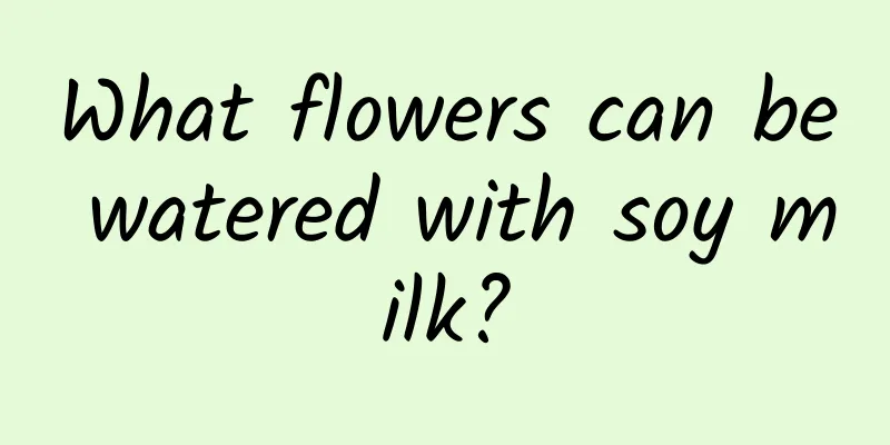 What flowers can be watered with soy milk?
