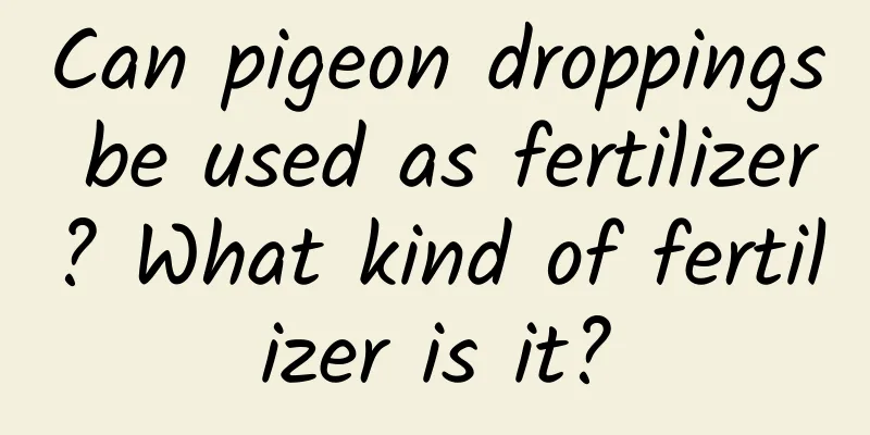 Can pigeon droppings be used as fertilizer? What kind of fertilizer is it?