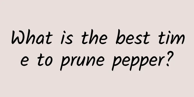 What is the best time to prune pepper?