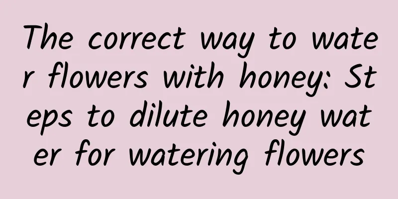 The correct way to water flowers with honey: Steps to dilute honey water for watering flowers