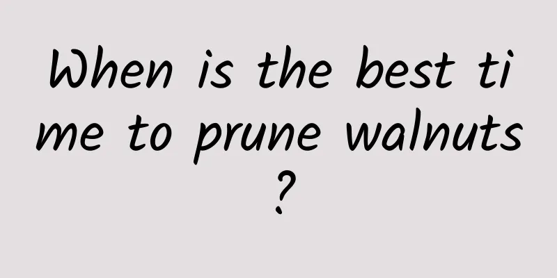 When is the best time to prune walnuts?