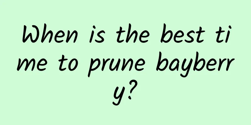 When is the best time to prune bayberry?