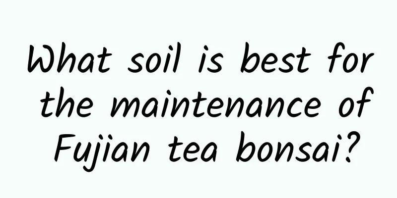 What soil is best for the maintenance of Fujian tea bonsai?