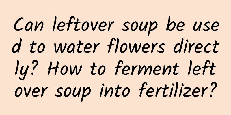 Can leftover soup be used to water flowers directly? How to ferment leftover soup into fertilizer?