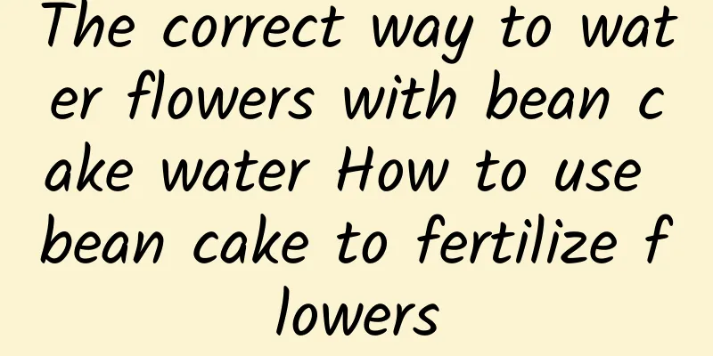 The correct way to water flowers with bean cake water How to use bean cake to fertilize flowers