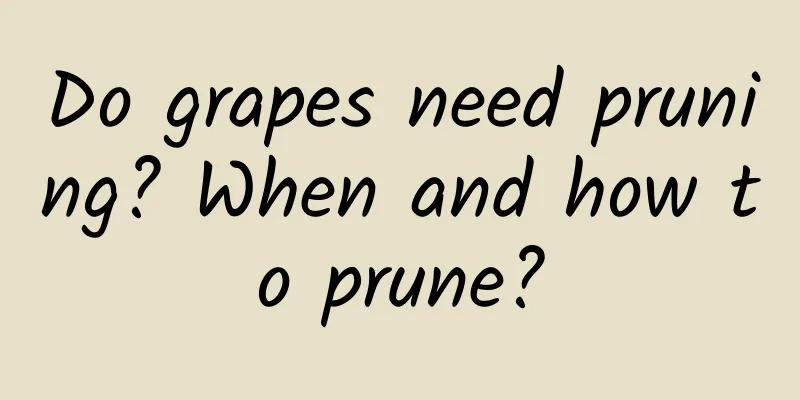 Do grapes need pruning? When and how to prune?